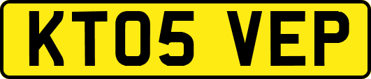 KT05VEP