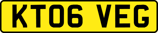 KT06VEG