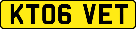 KT06VET