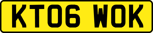 KT06WOK