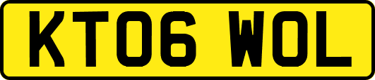 KT06WOL