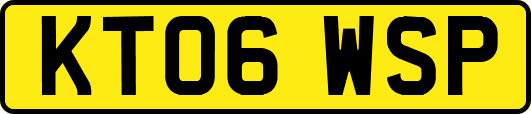 KT06WSP