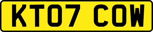 KT07COW