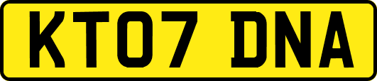 KT07DNA