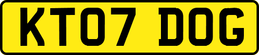 KT07DOG
