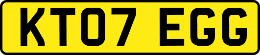 KT07EGG