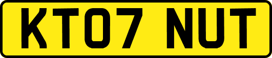 KT07NUT