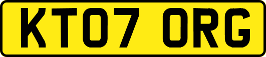 KT07ORG
