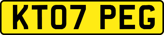 KT07PEG