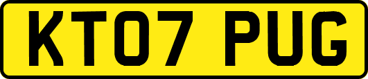 KT07PUG