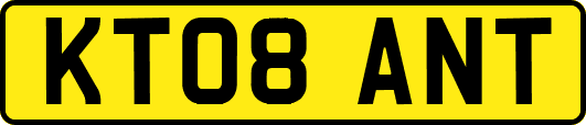 KT08ANT