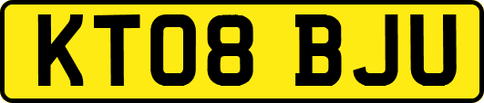 KT08BJU