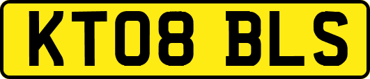 KT08BLS