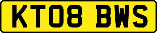KT08BWS
