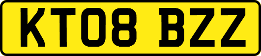 KT08BZZ