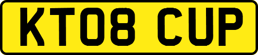 KT08CUP