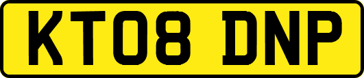 KT08DNP