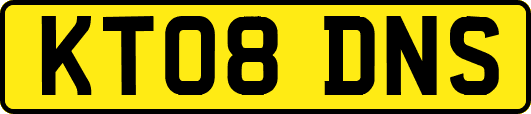 KT08DNS