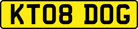 KT08DOG