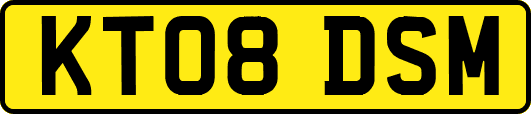 KT08DSM