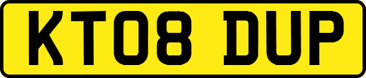 KT08DUP