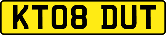 KT08DUT