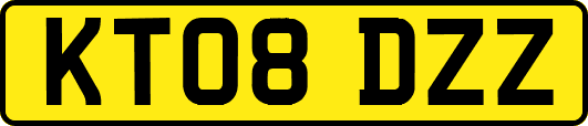 KT08DZZ
