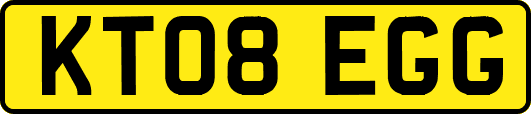KT08EGG