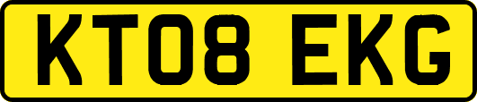 KT08EKG