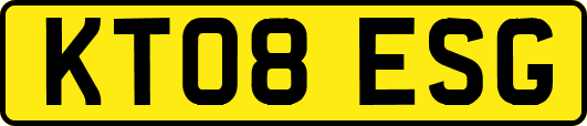 KT08ESG