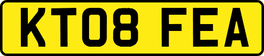 KT08FEA
