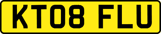KT08FLU