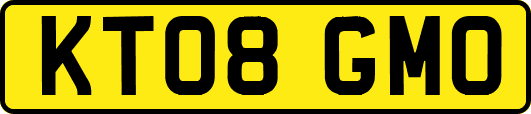 KT08GMO