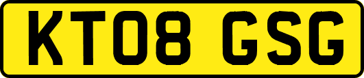 KT08GSG