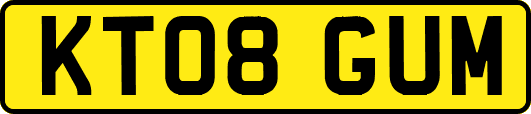 KT08GUM