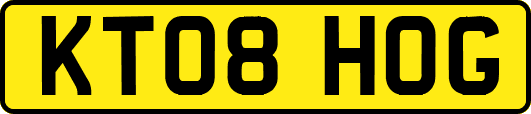 KT08HOG
