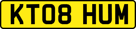 KT08HUM