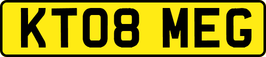 KT08MEG