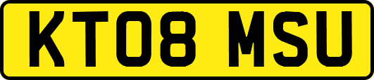 KT08MSU