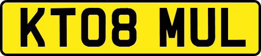 KT08MUL