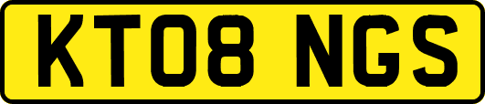 KT08NGS