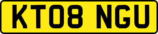KT08NGU