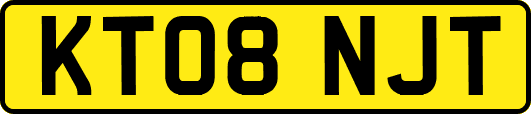 KT08NJT