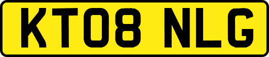 KT08NLG
