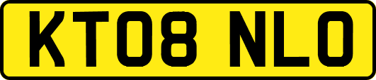 KT08NLO