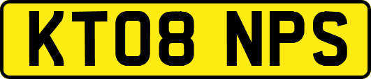 KT08NPS