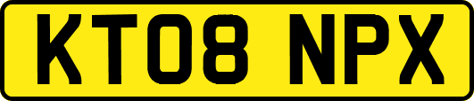 KT08NPX