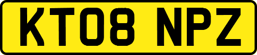 KT08NPZ