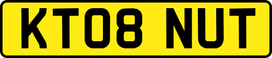 KT08NUT