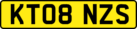 KT08NZS